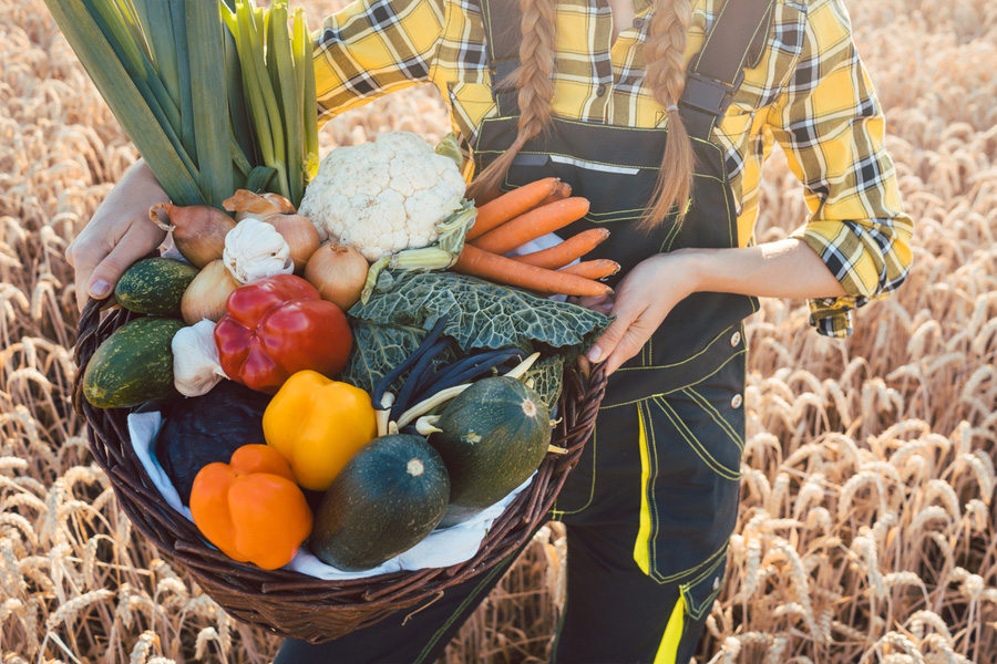 Är lönsamt och hållbart att producera och sälja lokal mat